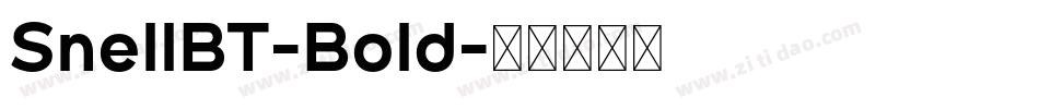 SnellBT-Bold字体转换