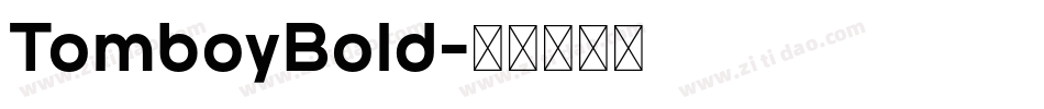 TomboyBold字体转换