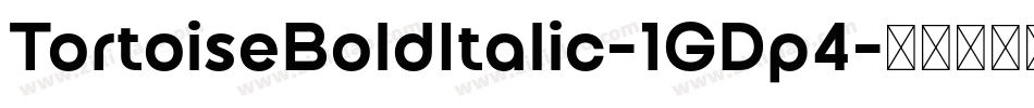 TortoiseBoldItalic-1GDp4字体转换