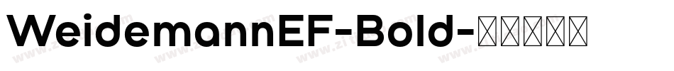 WeidemannEF-Bold字体转换