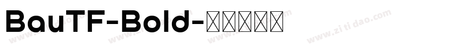 BauTF-Bold字体转换