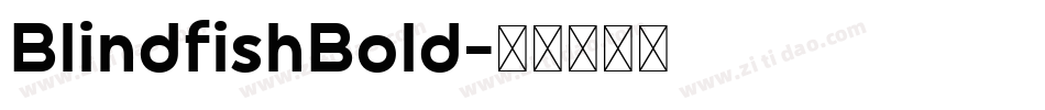 BlindfishBold字体转换