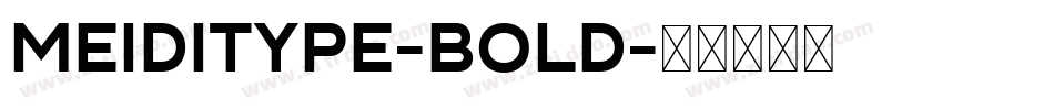 MEIDITYPE-BOLD字体转换