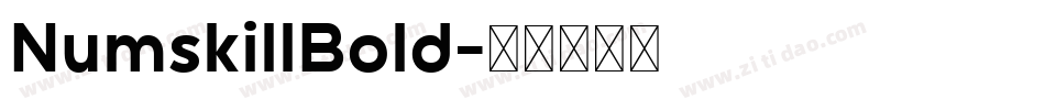NumskillBold字体转换