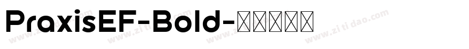PraxisEF-Bold字体转换