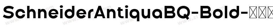 SchneiderAntiquaBQ-Bold字体转换