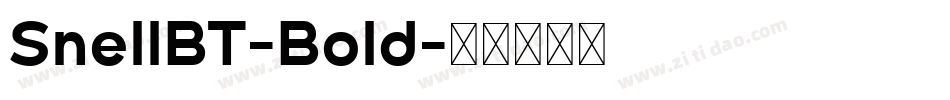 SnellBT-Bold字体转换