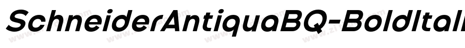 SchneiderAntiquaBQ-BoldItalic字体转换