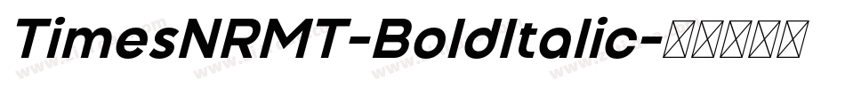 TimesNRMT-BoldItalic字体转换
