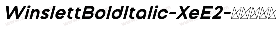 WinslettBoldItalic-XeE2字体转换