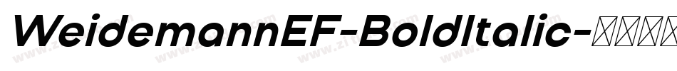 WeidemannEF-BoldItalic字体转换