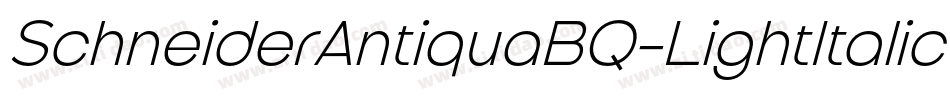SchneiderAntiquaBQ-LightItalic字体转换