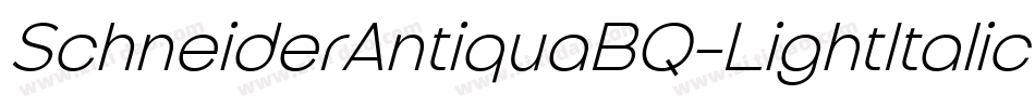 SchneiderAntiquaBQ-LightItalic字体转换