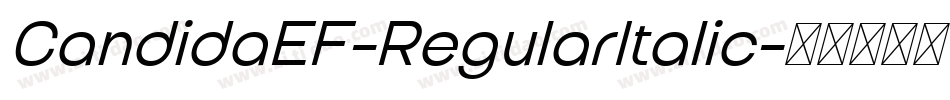 CandidaEF-RegularItalic字体转换