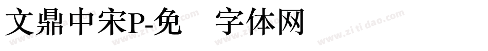 文鼎中宋P字体转换