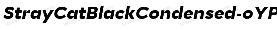StrayCatBlackCondensed-oYPB字体转换