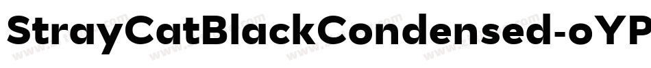 StrayCatBlackCondensed-oYPB字体转换
