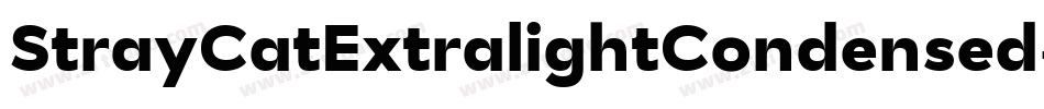 StrayCatExtralightCondensed-15ML字体转换