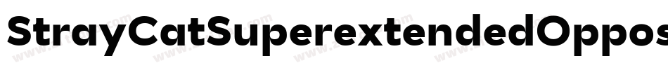 StrayCatSuperextendedOppositeoblique-E2Yr字体转换