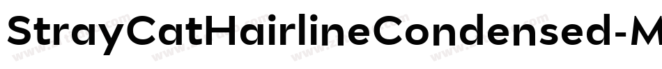 StrayCatHairlineCondensed-MX9e字体转换