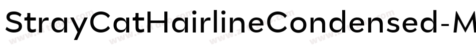 StrayCatHairlineCondensed-MX9e字体转换