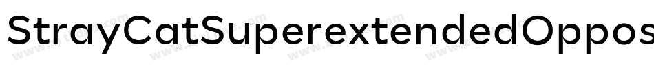 StrayCatSuperextendedOppositeoblique-E2Yr字体转换