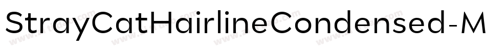 StrayCatHairlineCondensed-MX9e字体转换
