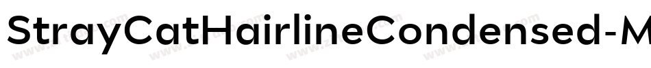 StrayCatHairlineCondensed-MX9e字体转换