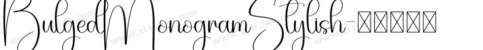 BulgedMonogramStylish字体转换