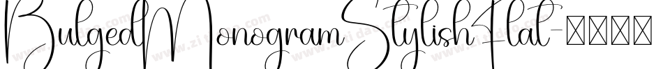 BulgedMonogramStylishFlat字体转换