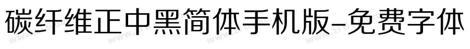 碳纤维正中黑简体手机版字体转换