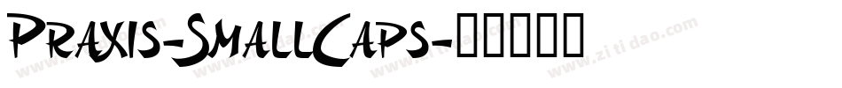 Praxis-SmallCaps字体转换