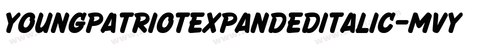 YoungPatriotExpandedItalic-MVY2n字体转换
