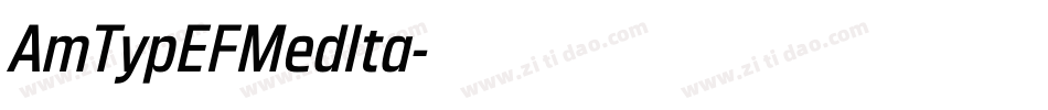 AmTypEFMedIta字体转换