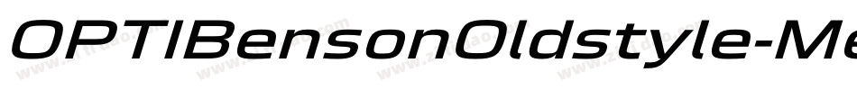OPTIBensonOldstyle-MedIta字体转换