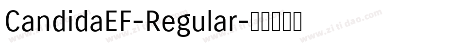 CandidaEF-Regular字体转换