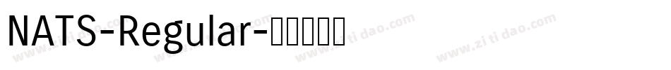 NATS-Regular字体转换