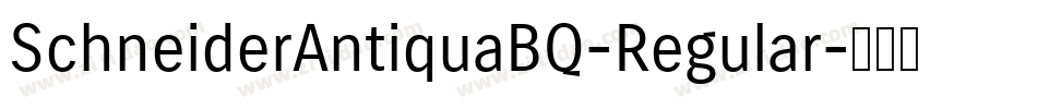 SchneiderAntiquaBQ-Regular字体转换