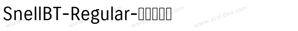 SnellBT-Regular字体转换