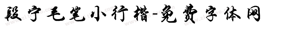 段宁毛笔小行楷字体转换