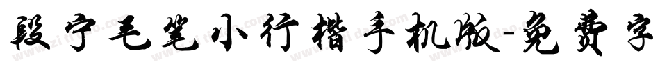 段宁毛笔小行楷手机版字体转换
