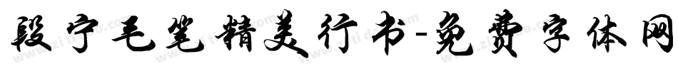 段宁毛笔精美行书字体转换