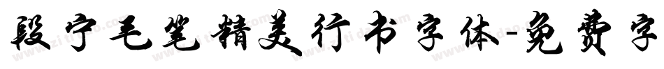 段宁毛笔精美行书字体字体转换