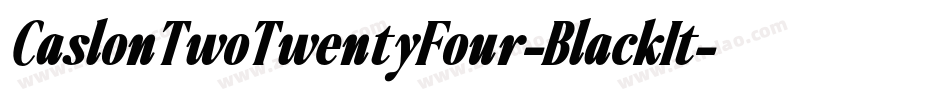 CaslonTwoTwentyFour-BlackIt字体转换
