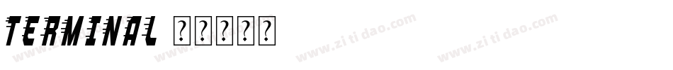 Terminal字体转换