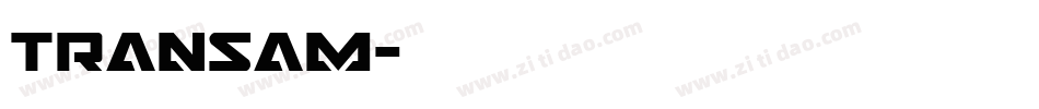 transam字体转换