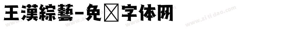 王漢綜藝字体转换