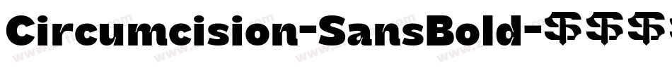 Circumcision-SansBold字体转换