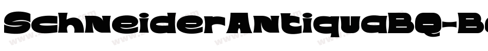 SchneiderAntiquaBQ-Bold字体转换