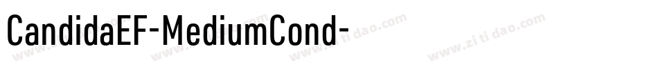 CandidaEF-MediumCond字体转换